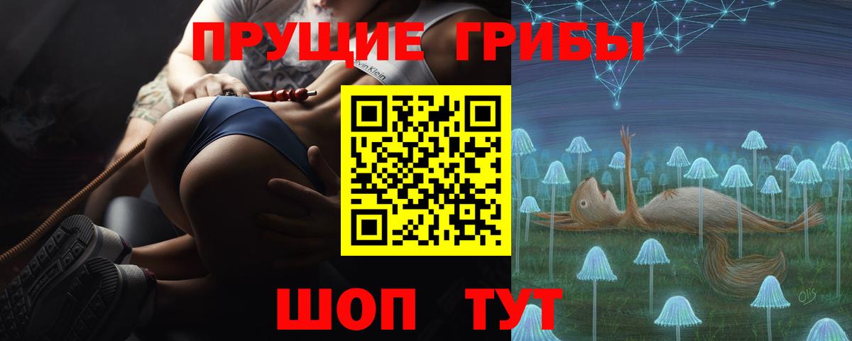 Псилоцибиновые грибы Psilocybe  Вход с VPN  Ишим 